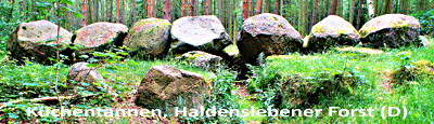 K�chentannen